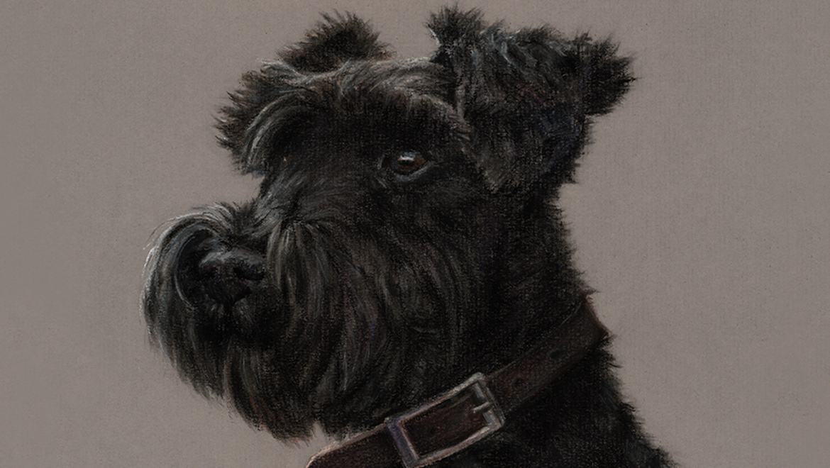 Minnie the dog pastel portrait