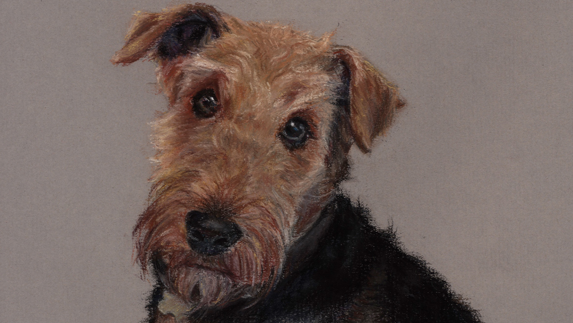 Remy the dog pastel portrait