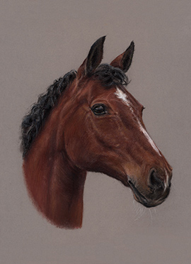 Bart pastel horse portrait