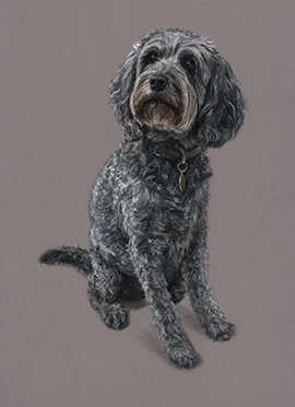 Coco pastel dog portrait