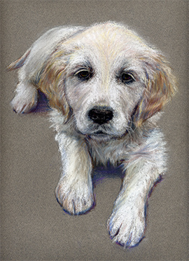 Elsa pastel dog portrait