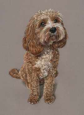 Hazel pastel dog portrait