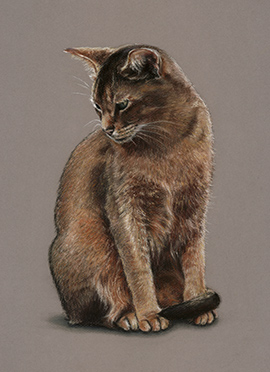 Jasper pastel cat portrait