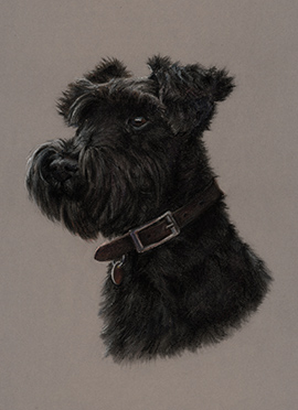 Minnie pastel dog portrait
