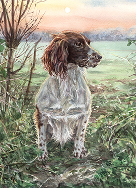 Quinn watercolour dog portrait