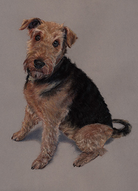 Remy pastel dog portrait